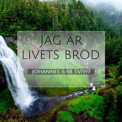 Picture 07 - Johannes 6:48 SV1917 - Jag är livets - Bible Verse Picture