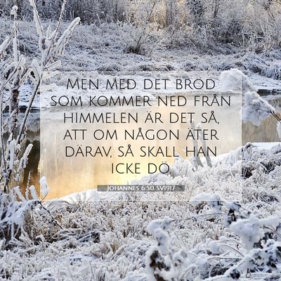 Picture 07 - Johannes 6:50 SV1917 - Men med det bröd som kommer ned från himmelen - Bible Verse Picture