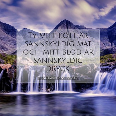 Picture 07 - Johannes 6:55 SV1917 - Ty mitt kött är sannskyldig mat, och mitt blod - Bible Verse Picture