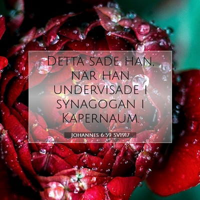 Picture 07 - Johannes 6:59 SV1917 - Detta sade han, när han undervisade i synagogan - Bible Verse Picture
