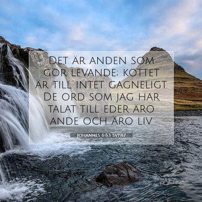 Picture 07 - Johannes 6:63 SV1917 - Det är anden som gör levande; köttet är till - Bible Verse Picture