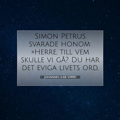 Picture 07 - Johannes 6:68 SV1917 - Simon Petrus svarade honom: »Herre, till vem - Bible Verse Picture