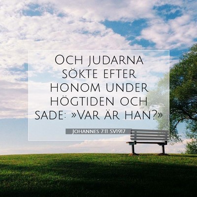 Picture 07 - Johannes 7:11 SV1917 - Och judarna sökte efter honom under högtiden - Bible Verse Picture