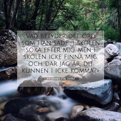Picture 07 - Johannes 7:36 SV1917 - Vad betyder det ord som han sade: 'I skolen söka - Bible Verse Picture