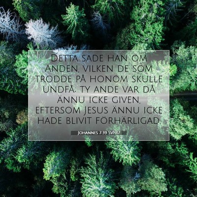 Picture 07 - Johannes 7:39 SV1917 - Detta sade han om Anden, vilken de som trodde på - Bible Verse Picture