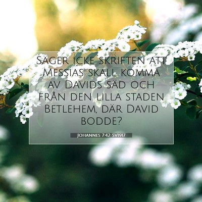 Picture 07 - Johannes 7:42 SV1917 - Säger icke skriften att Messias skall komma av - Bible Verse Picture