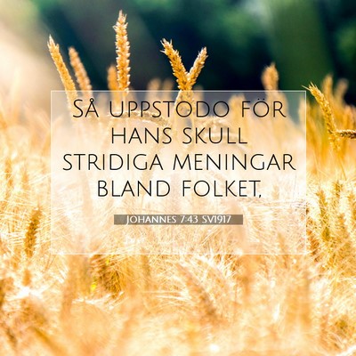Picture 07 - Johannes 7:43 SV1917 - Så uppstodo för hans skull stridiga meningar - Bible Verse Picture
