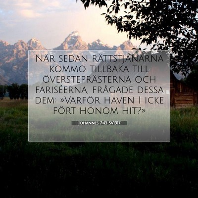 Picture 07 - Johannes 7:45 SV1917 - När sedan rättstjänarna kommo tillbaka till - Bible Verse Picture