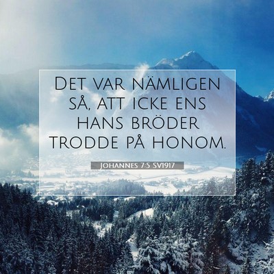 Picture 07 - Johannes 7:5 SV1917 - Det var nämligen så, att icke ens hans bröder - Bible Verse Picture