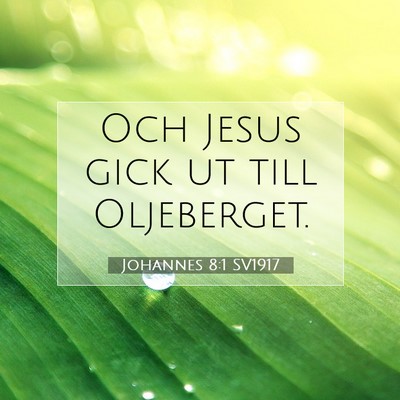 Picture 07 - Johannes 8:1 SV1917 - Och Jesus gick ut till - Bible Verse Picture