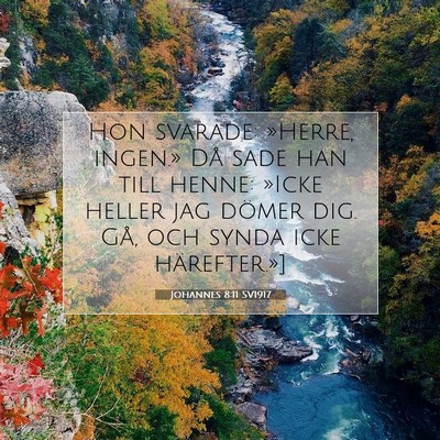 Picture 07 - Johannes 8:11 SV1917 - Hon svarade: »Herre, ingen.» Då sade han till - Bible Verse Picture
