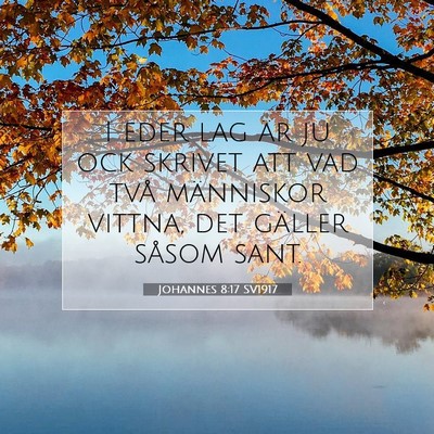 Picture 07 - Johannes 8:17 SV1917 - I eder lag är ju ock skrivet att vad två - Bible Verse Picture