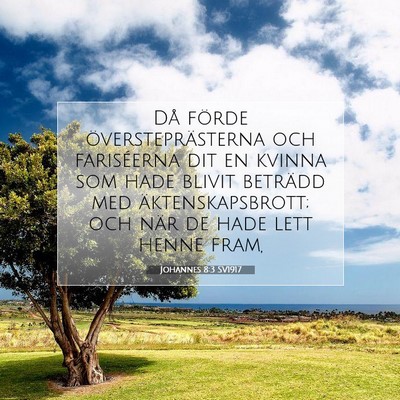 Picture 07 - Johannes 8:3 SV1917 - Då förde översteprästerna och fariséerna dit - Bible Verse Picture