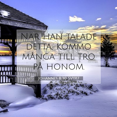 Picture 07 - Johannes 8:30 SV1917 - När han talade detta, kommo många till tro på - Bible Verse Picture