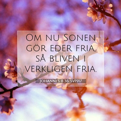 Picture 07 - Johannes 8:36 SV1917 - Om nu Sonen gör eder fria, så bliven i - Bible Verse Picture