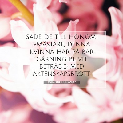 Picture 07 - Johannes 8:4 SV1917 - sade de till honom: »Mästare, denna kvinna har - Bible Verse Picture