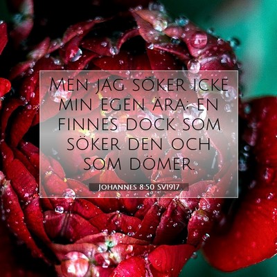 Picture 07 - Johannes 8:50 SV1917 - Men jag söker icke min egen ära; en finnes dock - Bible Verse Picture