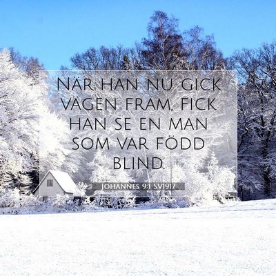 Picture 07 - Johannes 9:1 SV1917 - När han nu gick vägen fram, fick han se en man - Bible Verse Picture