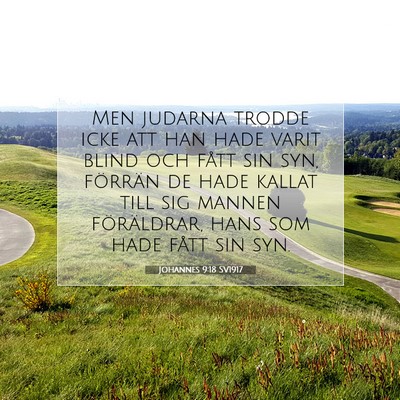 Picture 07 - Johannes 9:18 SV1917 - Men judarna trodde icke att han hade varit blind - Bible Verse Picture