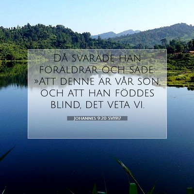 Picture 07 - Johannes 9:20 SV1917 - Då svarade han föräldrar och sade: »Att denne - Bible Verse Picture