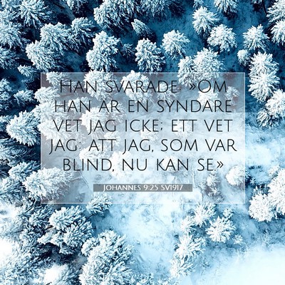 Picture 07 - Johannes 9:25 SV1917 - Han svarade: »Om han är en syndare vet jag - Bible Verse Picture