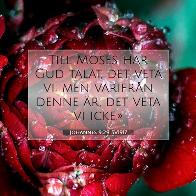 Picture 07 - Johannes 9:29 SV1917 - Till Moses har Gud talat, det veta vi; men - Bible Verse Picture