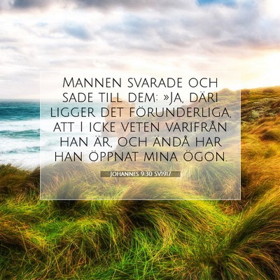 Picture 07 - Johannes 9:30 SV1917 - Mannen svarade och sade till dem: »Ja, däri - Bible Verse Picture