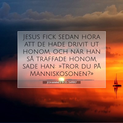 Picture 07 - Johannes 9:35 SV1917 - Jesus fick sedan höra att de hade drivit ut - Bible Verse Picture