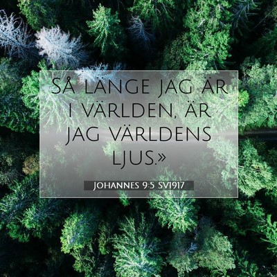 Picture 07 - Johannes 9:5 SV1917 - Så länge jag är i världen, är jag världens - Bible Verse Picture