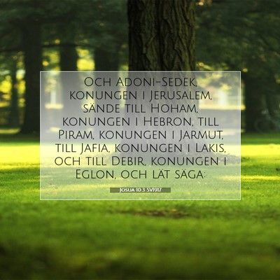 Picture 07 - Josua 10:3 SV1917 - Och Adoni-Sedek, konungen i Jerusalem, sände - Bible Verse Picture