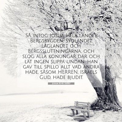 Picture 07 - Josua 10:40 SV1917 - Så intog Josua hela landet, Bergsbygden, - Bible Verse Picture
