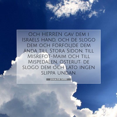 Picture 07 - Josua 11:8 SV1917 - Och HERREN gav dem i Israels hand, och de slogo - Bible Verse Picture
