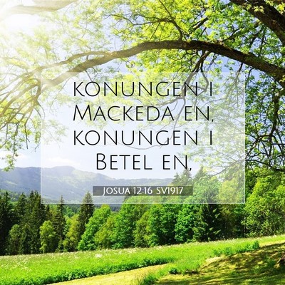 Picture 07 - Josua 12:16 SV1917 - konungen i Mackeda en, konungen i Betel - Bible Verse Picture