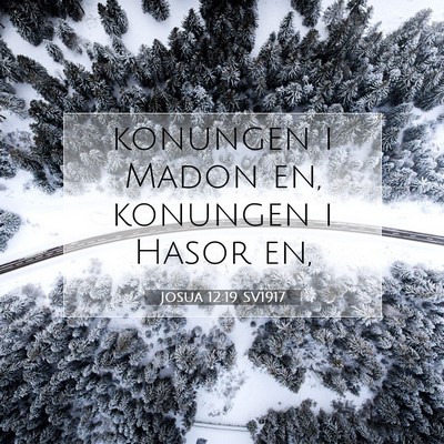 Picture 07 - Josua 12:19 SV1917 - konungen i Madon en, konungen i Hasor - Bible Verse Picture