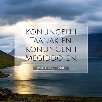 Picture 07 - Josua 12:21 SV1917 - konungen i Taanak en, konungen i Megiddo - Bible Verse Picture