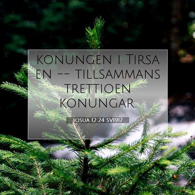 Picture 07 - Josua 12:24 SV1917 - konungen i Tirsa en -- tillsammans trettioen - Bible Verse Picture