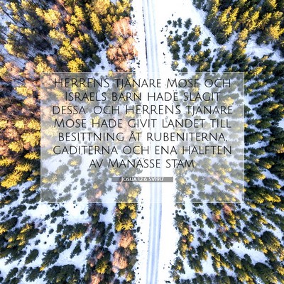 Picture 07 - Josua 12:6 SV1917 - HERRENS tjänare Mose och Israels barn hade - Bible Verse Picture