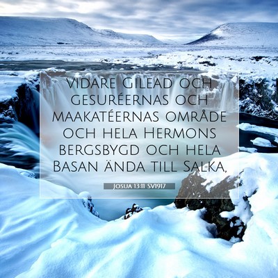 Picture 07 - Josua 13:11 SV1917 - vidare Gilead och gesuréernas och maakatéernas - Bible Verse Picture