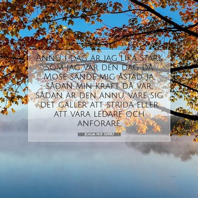 Picture 07 - Josua 14:11 SV1917 - Ännu i dag är jag lika stark som jag var den - Bible Verse Picture