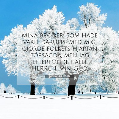 Picture 07 - Josua 14:8 SV1917 - Mina bröder, som hade varit däruppe med mig, - Bible Verse Picture