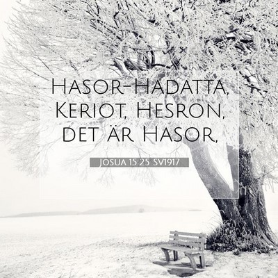 Picture 07 - Josua 15:25 SV1917 - Hasor-Hadatta, Keriot, Hesron, det är - Bible Verse Picture