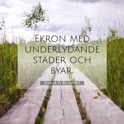 Picture 07 - Josua 15:45 SV1917 - Ekron med underlydande städer och - Bible Verse Picture