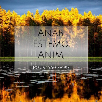 Picture 07 - Josua 15:50 SV1917 - Anab, Estemo, - Bible Verse Picture