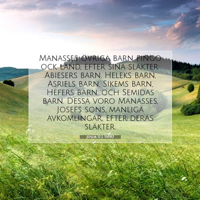 Picture 07 - Josua 17:2 SV1917 - Manasses övriga barn fingo ock land, efter sina - Bible Verse Picture