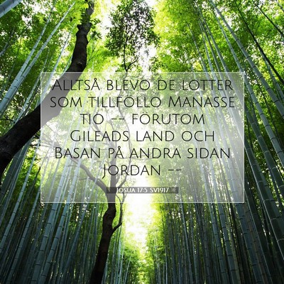 Picture 07 - Josua 17:5 SV1917 - Alltså blevo de lotter som tillföllo Manasse - Bible Verse Picture