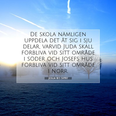 Picture 07 - Josua 18:5 SV1917 - De skola nämligen uppdela det åt sig i sju - Bible Verse Picture