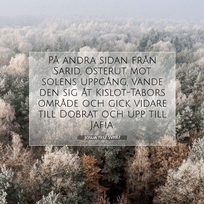 Picture 07 - Josua 19:12 SV1917 - På andra sidan från Sarid, österut mot solens - Bible Verse Picture