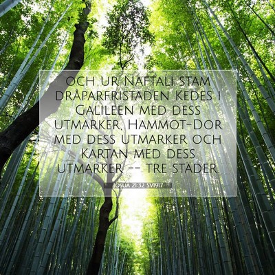 Picture 07 - Josua 21:32 SV1917 - och ur Naftali stam dråparfristaden Kedes i - Bible Verse Picture
