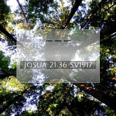 Picture 07 - Josua 21:36 SV1917 -  - Bible Verse Picture