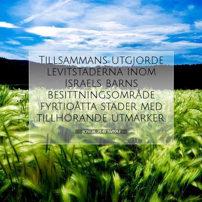 Picture 07 - Josua 21:41 SV1917 - Tillsammans utgjorde levitstäderna inom Israels - Bible Verse Picture